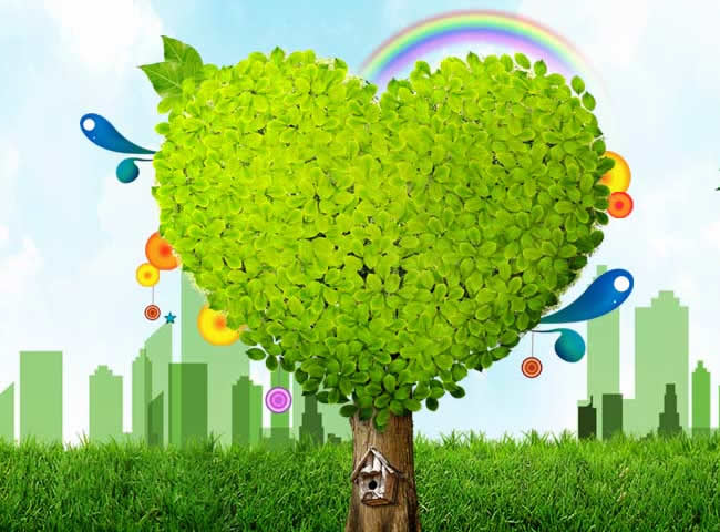 山西渡怡健康咨询有限公司